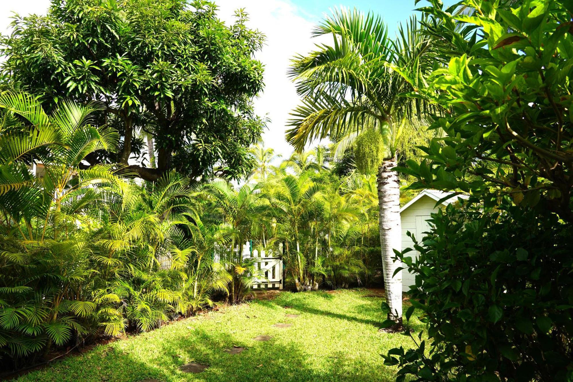 Dodo Coconut Lagon Ermitage Saint-Gilles-les Bains Εξωτερικό φωτογραφία