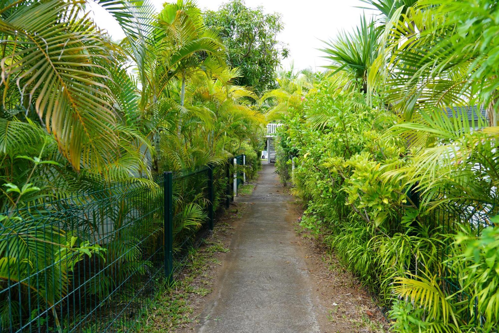 Dodo Coconut Lagon Ermitage Saint-Gilles-les Bains Εξωτερικό φωτογραφία